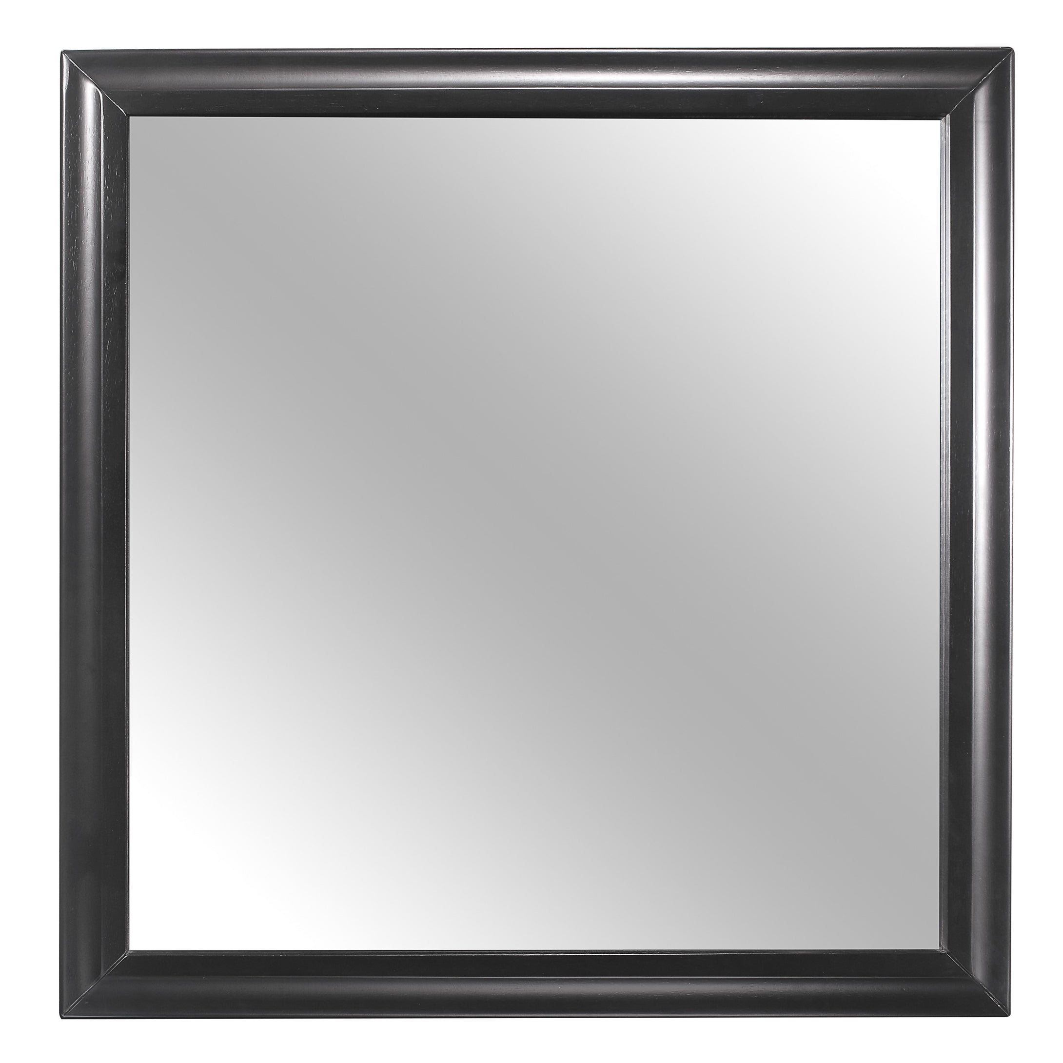 1517-6 Mirror