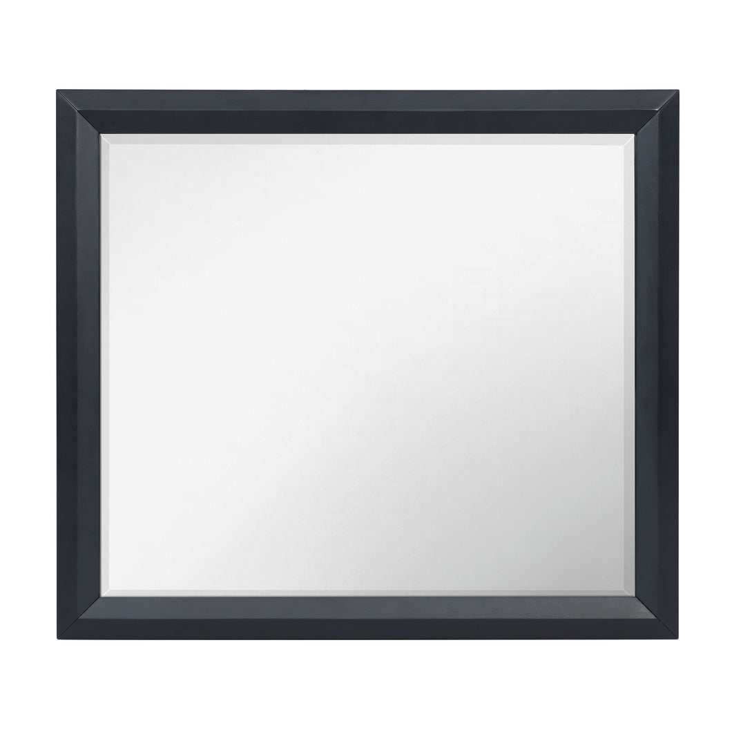 1553-6 Mirror