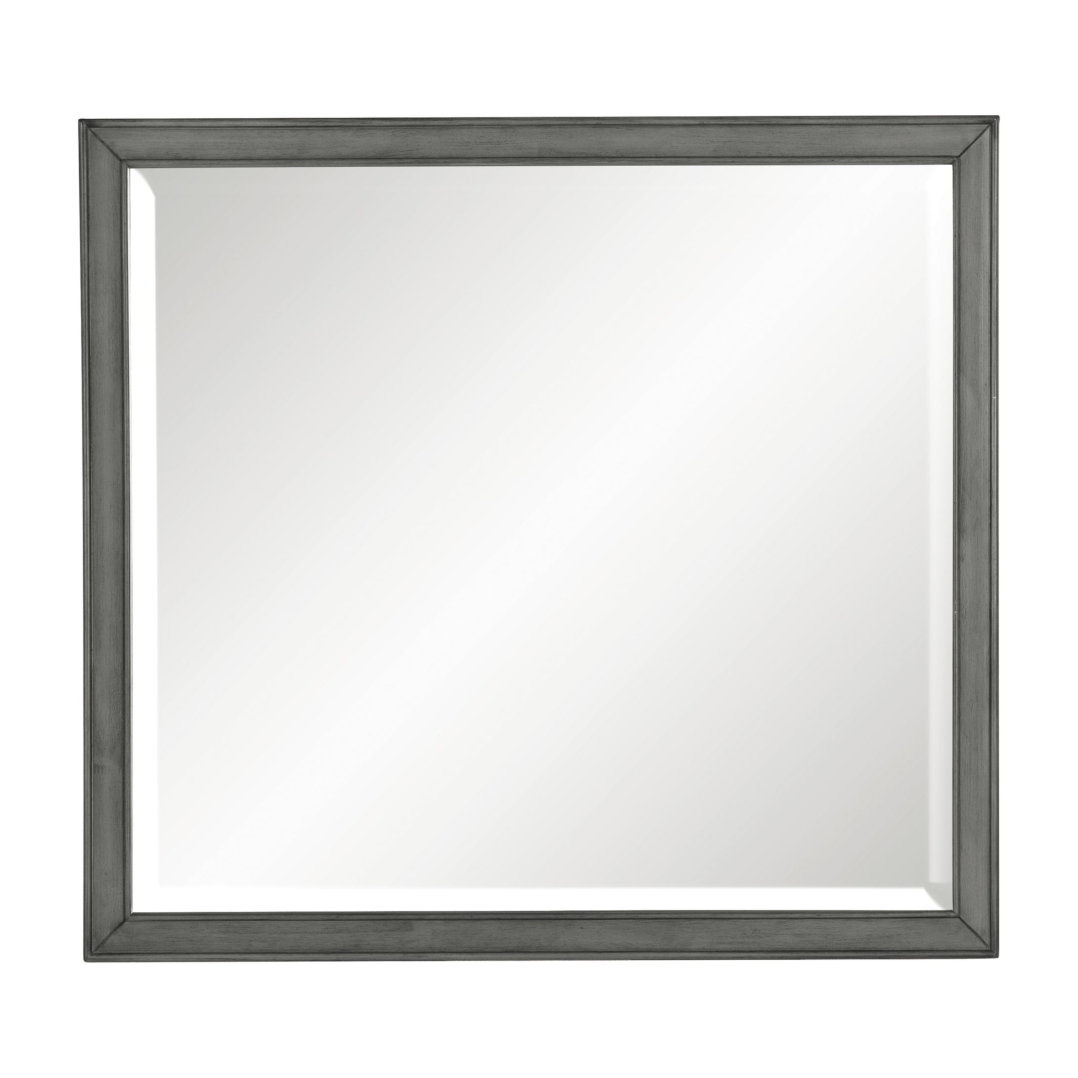 1573-6 Mirror