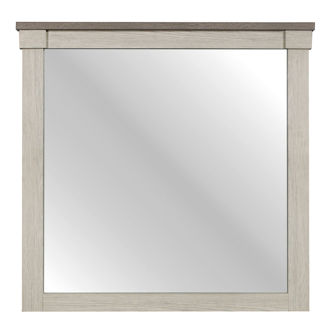 1677-6 Mirror