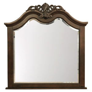1869-6 Mirror