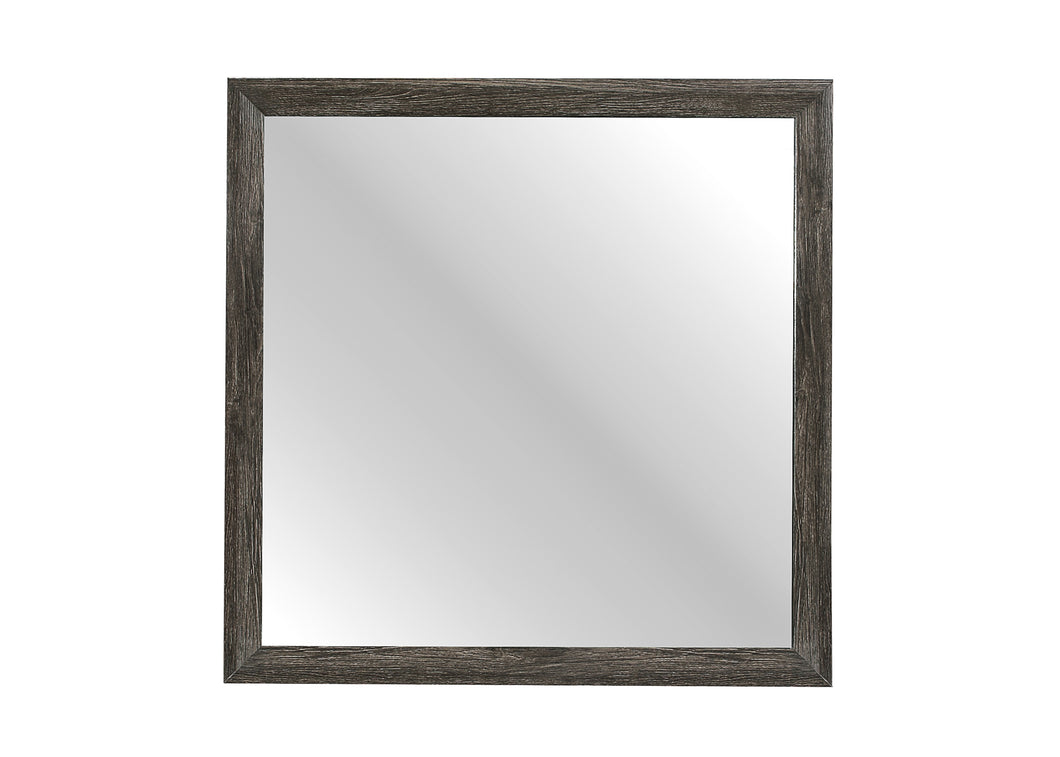 2145NP-6 Mirror
